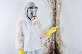 Best Mold Damage Restoration  in Coburg, OR